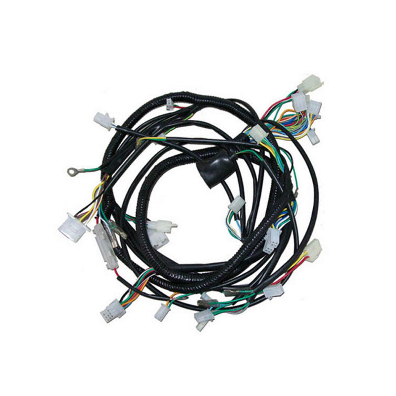 Custom Automotive Wire harness Assembly