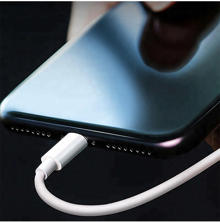 Custom type c cable fast charging syncing cord for iPhone Xs