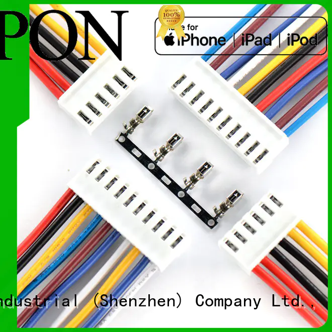 Richupon High-quality wire harness cable assembly factory for automotive